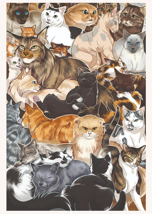 Cats A3 prints