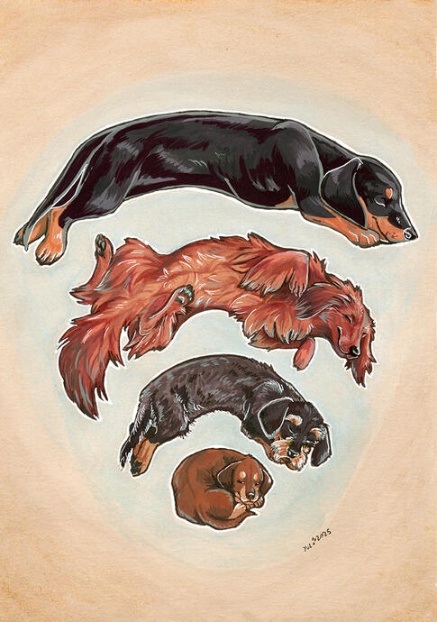 Wurst Wifi A4 prints
